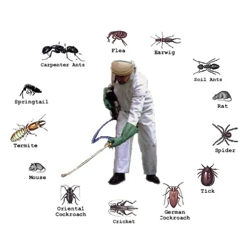 Natural Pest Control Remedies