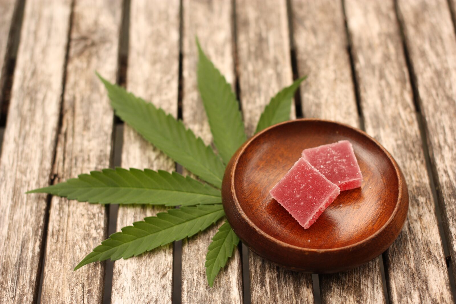 What to Expect from a 100 mg Edible A Comprehensive Guide